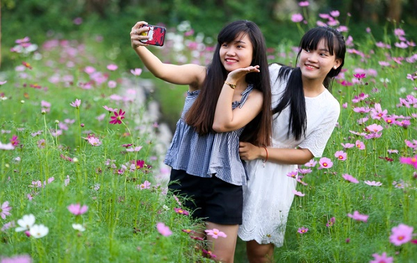 Cánh đồng hoa ở đây thu hút nhiều bạn trẻ đến tham quan, chụp hình, thực hiện ảnh cưới mỗi ngày. Cánh đồng hoa ở đây thu hút nhiều bạn trẻ đến tham quan, chụp hình, thực hiện ảnh cưới mỗi ngày.