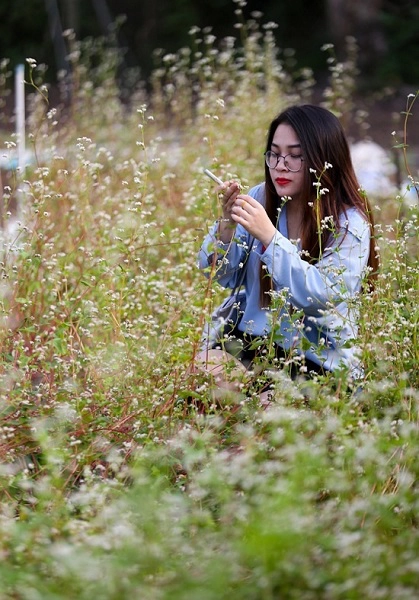 Mỗi ngày, có nhiều bạn trẻ đến vườn hoa để "mục sở thị" loài hoa tưởng như chỉ có thể mọc vùng núi cao phía bắc. "Em phải đi hơn 25 km đến đây để chiêm ngưỡng loài hoa này ít nhất một lần cho biết, đâu phải ai cũng có điều kiện lên Hà Giang", bạn Minh Anh (quận 4) thích thú. Mỗi ngày, có nhiều bạn trẻ đến vườn hoa để "mục sở thị" loài hoa tưởng như chỉ có thể mọc vùng núi cao phía bắc. "Em phải đi hơn 25 km đến đây để chiêm ngưỡng loài hoa này ít nhất một lần cho biết, đâu phải ai cũng có điều kiện lên Hà Giang", bạn Minh Anh (quận 4) thích thú.