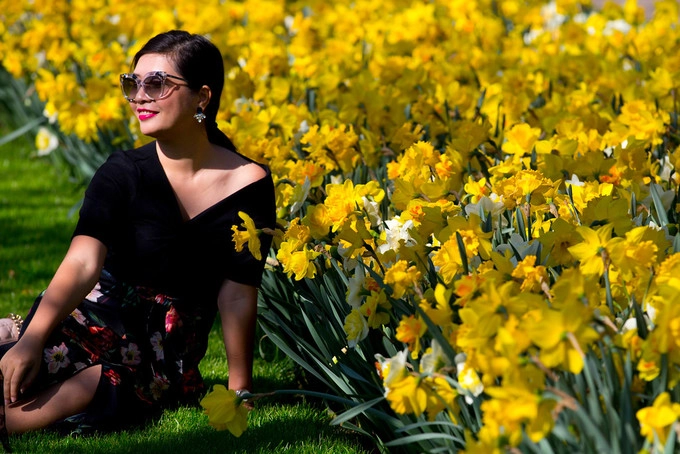 Một du khách nữ say sưa tạo dáng chụp hình bên thảm hoa thủy tiên vàng ở Keukenhof. Một du khách nữ say sưa tạo dáng chụp hình bên thảm hoa thủy tiên vàng ở Keukenhof.