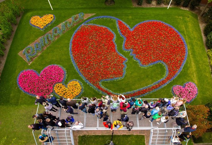 Thảm hoa kết hình lãng mạn "Roman in Flowers" làm từ 50.000 cây tulip và lan dạ hương thu hút nhiều du khách tới chụp hình. Ảnh chụp vào những ngày cuối tháng 4 khi hoa đã nở rực rỡ khắp Keukenhof. Thảm hoa kết hình lãng mạn "Roman in Flowers" làm từ 50.000 cây tulip và lan dạ hương thu hút nhiều du khách tới chụp hình. Ảnh chụp vào những ngày cuối tháng 4 khi hoa đã nở rực rỡ khắp Keukenhof.