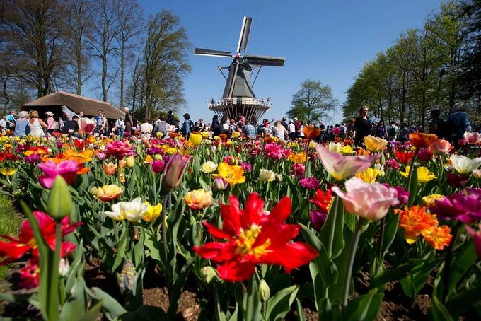 Công viên Keukenhof nằm trong khuôn viên lâu đài cùng tên, được xây vào năm 1641. Năm 1857, các kiến trúc sư thiết kế lại công viên theo phong cách vườn kiểu Anh, cách bày trí này được giữ nguyên đến ngày nay. Công viên Keukenhof nằm trong khuôn viên lâu đài cùng tên, được xây vào năm 1641. Năm 1857, các kiến trúc sư thiết kế lại công viên theo phong cách vườn kiểu Anh, cách bày trí này được giữ nguyên đến ngày nay.