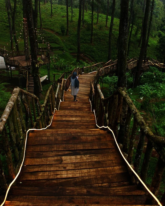 Điểm cộng lớn dành cho Orchid Forest là không khí ở đây luôn mát mẻ, trong lành nhờ nằm giữa rừng thông. Tuy nhiên, khoảng tháng 7 đến thang 9 mùa mưa thì hơi khó chịu do ẩm ướt và sương mù. Tốt nhất, bạn nên xem dự báo thời tiết trước khi đi.