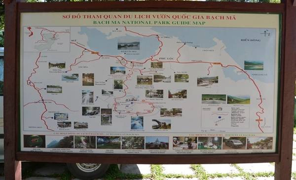 Vườn quốc gia Bạch Mã được thành lập vào năm 1991, tổng diện tích tự nhiên hơn 37 nghìn ha, bao gồm trên 36 nghìn ha đất lâm nghiệp và 522 ha đất khác. Đến cổng vườn quốc gia, du khách sẽ được hướng dẫn các tuyến tham quan, đi xe hơi theo con đường lên đến trạm dừng chân là 19 km. Ảnh: Thanh Tuyết.