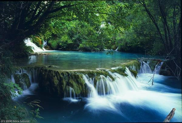 Ở các điểm dừng chân, du khách xuống xe đi bộ, trekking vào rừng khám phá hệ sinh thái. Theo chỉ dẫn đường mòn Ngũ Hồ, đến một con suối lớn tạo thành năm hồ nước kế tiếp nhau được hợp thành bởi hai nhánh suối là Hoàng Yến và suối bắt nguồn từ thung lũng Bò Cạp. Ảnh: Ivica Letunic