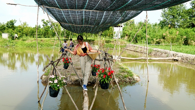 Nhiều vườn tạo tiểu cảnh cuộc sống đặc trưng của người miền Tây để du khách trải nghiệm như cầu khỉ dẫn lối vào trong. Chủ vườn còn đặt nhiều chiếc ghe để du khách có dịp ngồi chụp ảnh hoặc chèo xung quanh. Tất cả trải nghiệm này đã nằm trong giá vé vào tham quan.  Theo anh Trọng, ngày thường vườn nhà của anh đón hơn 100 lượt khách, dịp cuối tuần tăng lên khoảng gấp 5 lần. Hiện khu vực xã Long Hậu có gần 5 vườn lớn đón khách du lịch. Gần đó là xã Tân Phước, Tân Thành cũng có nhiều chủ vườn làm du lịch nhưng quy mô nhỏ hơn.