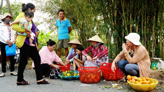 Ở phía ngoài cổng vào tham quan, nhiều người dân mang quýt ra bày bán để khách mua về làm quà. Quýt hiện có giá từ 35.000 đồng một kg. Khách được thử tại chỗ trước khi mua.