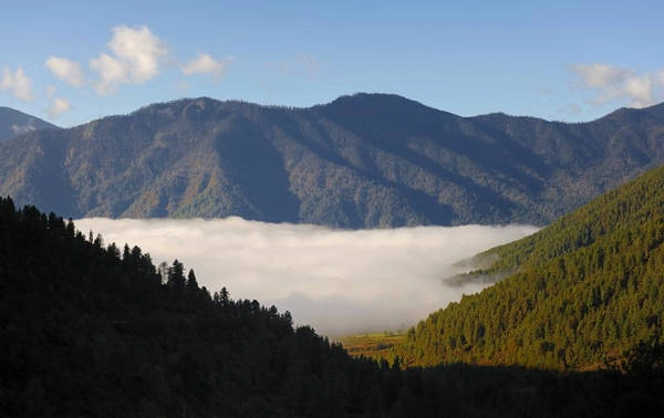 Bhutan cấm xuất khẩu gỗ và sản phẩm từ gỗ, nhằm đảm bảo ít nhất 60% diện tích quốc gia được rừng che phủ. Túi nylon cũng bị cấm sử dụng ở vương quốc xanh - sạch - đẹp này. Ảnh: Mygola. Bhutan cấm xuất khẩu gỗ và sản phẩm từ gỗ, nhằm đảm bảo ít nhất 60% diện tích quốc gia được rừng che phủ. Túi nylon cũng bị cấm sử dụng ở vương quốc xanh - sạch - đẹp này. Ảnh: Mygola.