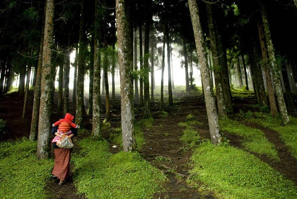 Bhutan là quốc gia duy nhất trên thế giới hấp thụ nhiều CO2 từ không khí hơn lượng thải ra. Nhờ 72% diện tích là rừng và số lượng khu công nghiệp thấp, vương quốc xanh này hấp thụ 6 triệu tấn C02 một năm cho Trái đất, trong khi chỉ thải ra 1,5 triệu tấn. Ảnh: Lynsey Addario. Bhutan là quốc gia duy nhất trên thế giới hấp thụ nhiều CO2 từ không khí hơn lượng thải ra. Nhờ 72% diện tích là rừng và số lượng khu công nghiệp thấp, vương quốc xanh này hấp thụ 6 triệu tấn C02 một năm cho Trái đất, trong khi chỉ thải ra 1,5 triệu tấn. Ảnh: Lynsey Addario.