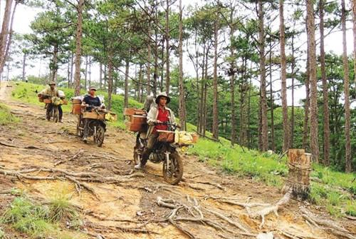 Đoàn cửu vạn chở đồ cho khách trên những chiếc xe đặc dụng Đoàn cửu vạn chở đồ cho khách trên những chiếc xe đặc dụng