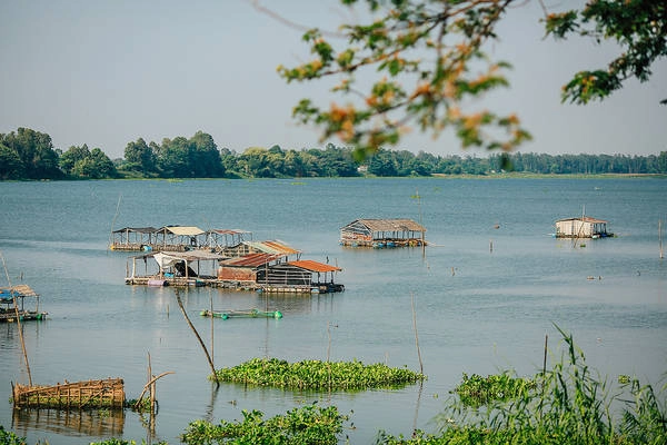 Một góc êm đềm của búng bình thiên. Ảnh: vnphoto.net