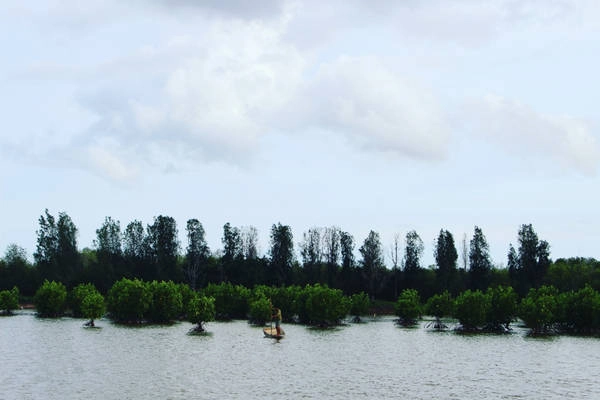 Cánh đồng "quạt gió" là một lựa chọn mà bạn không nên bỏ qua khi đến với Bạc Liêu. Bạn chỉ cần chạy dọc theo đường bờ biển sẽ đến. Từ Nhà Mát, chạy xe máy mất khoảng 30 phút. Cánh đồng "quạt gió" là một lựa chọn mà bạn không nên bỏ qua khi đến với Bạc Liêu. Bạn chỉ cần chạy dọc theo đường bờ biển sẽ đến. Từ Nhà Mát, chạy xe máy mất khoảng 30 phút.
