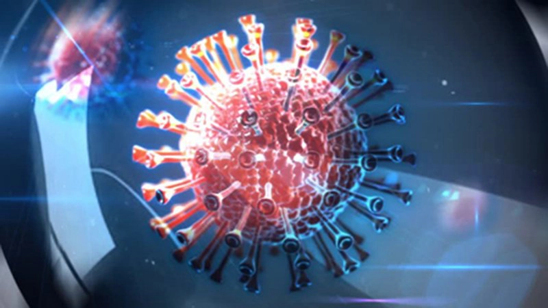 virus viêm gan B