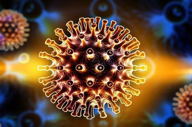 virus