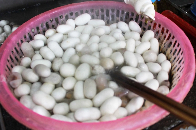 Theo anh Cường, tơ tằm Lâm Đồng đẹp, dài và bóng. Nếu bình thường một con kén ở ngoài Bắc nhả sợi tơ dài 300-500m thì ở đây, kén Lâm Đồng nhả tơ dài đến 1.000m. Theo anh Cường, tơ tằm Lâm Đồng đẹp, dài và bóng. Nếu bình thường một con kén ở ngoài Bắc nhả sợi tơ dài 300-500m thì ở đây, kén Lâm Đồng nhả tơ dài đến 1.000m.