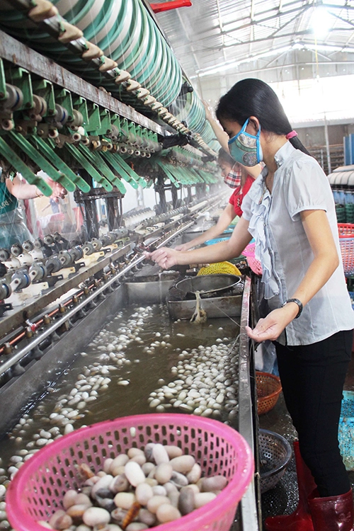 Quy trình sản xuất bắt đầu từ việc mua kén rồi ươm tơ, dệt lụa, tẩy nhuộm, thiết kế sản phẩm, may thêu trang phục, tranh. Quy trình sản xuất bắt đầu từ việc mua kén rồi ươm tơ, dệt lụa, tẩy nhuộm, thiết kế sản phẩm, may thêu trang phục, tranh.