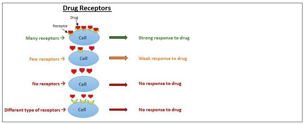 pharmacogenomics