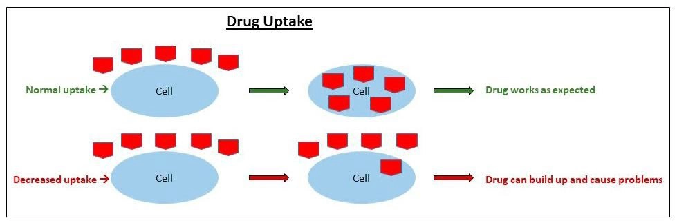 pharmacogenomics