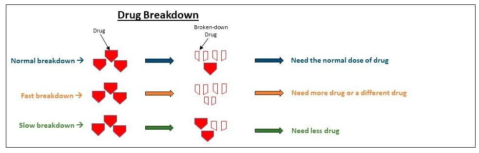 pharmacogenomics