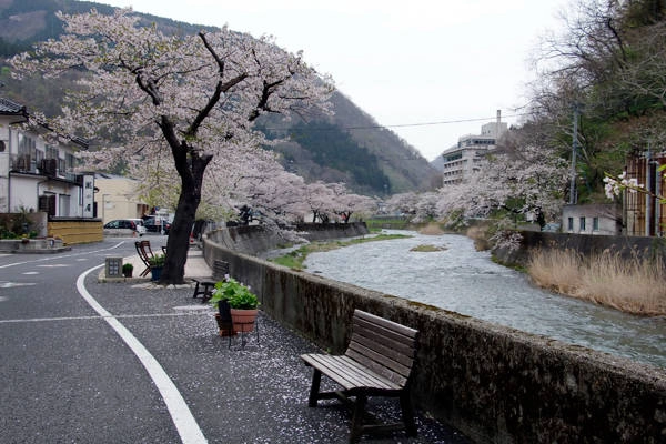 yamagata-vung-dat-cua-hoa-anh-dao-va-mi-ramen-ivivu-6