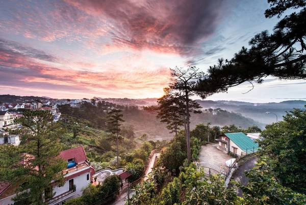 YOLO Camping House sẽ khiến bạn "cuồng chân" hơn bao giờ hết với khu biệt thự sang chảnh, sở hữu tầm view giữa đồi thông lộng gió đẹp đến ghiền mắt. YOLO Camping House sẽ khiến bạn "cuồng chân" hơn bao giờ hết với khu biệt thự sang chảnh, sở hữu tầm view giữa đồi thông lộng gió đẹp đến ghiền mắt.