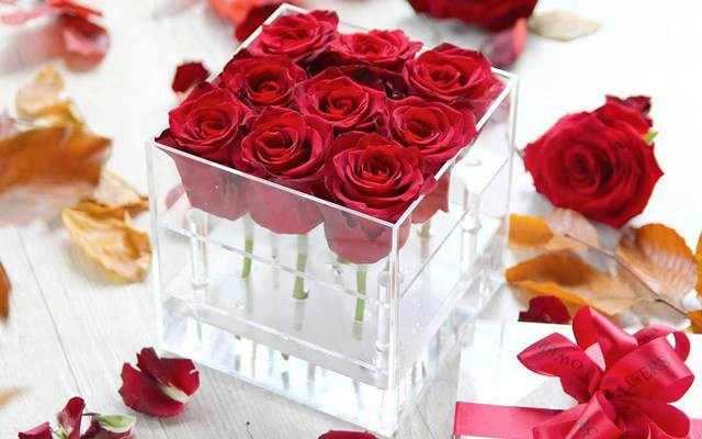 38 Degree Flowers - Quang Trung