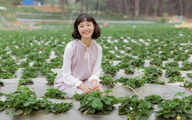 92 Wear - Phạm Ngọc Thạch