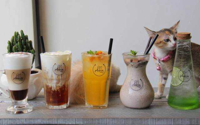 An Phụng Cafe