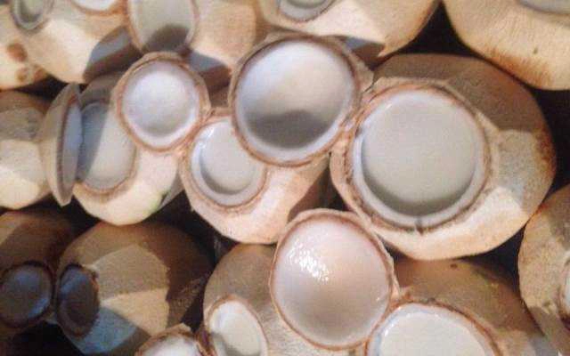 Ăn vặt Chú Béo - Nước Dừa, Thạch Dừa Xiêm