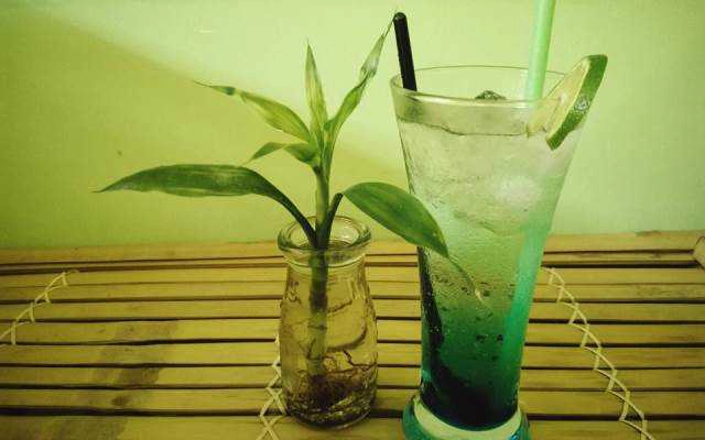 Ăn vặt Fancy - Sinh Tố & Soda