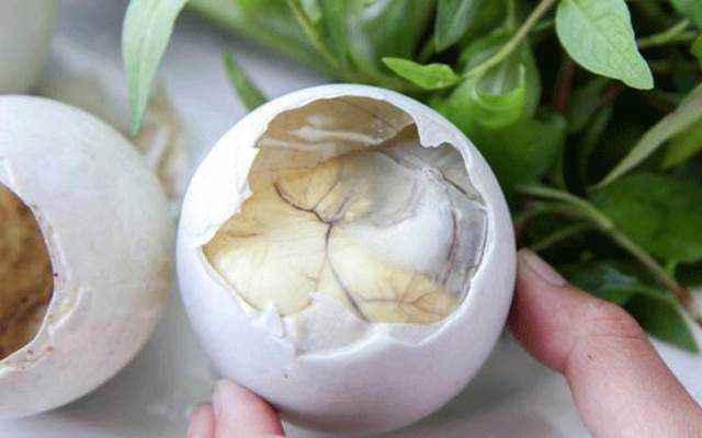 Ăn vặt Nghêu, Sò, Ốc & Hột Vịt Lộn