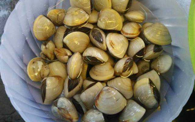 Ăn vặt Ốc Chảo Đồng Giá 30K