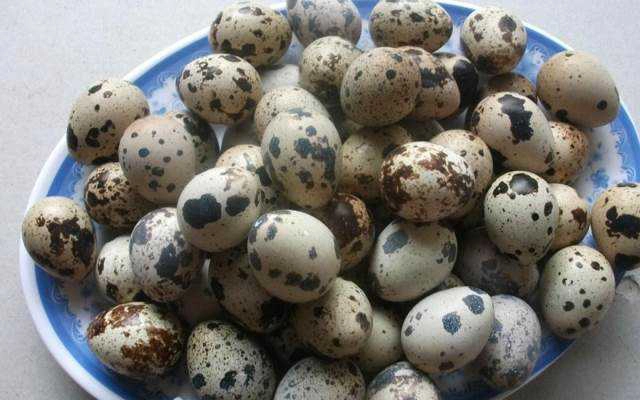 Ăn vặt Quán Yến - Trứng Cút Lộn, Chè & Sinh Tố
