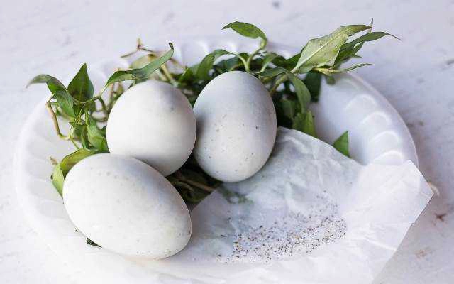 Ăn vặt Trứng Vịt Lộn - Mai Xuân Thưởng