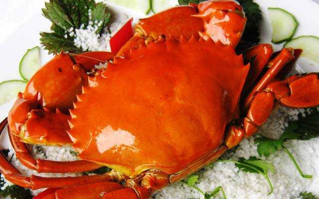 Nhà Hàng Anh Anh - Điểm Đến Của Người Sành Ăn