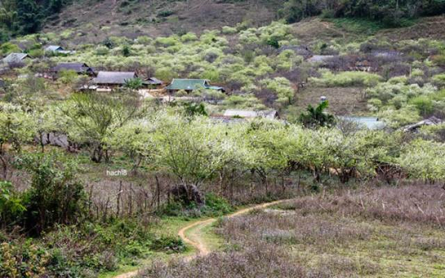 Bản Lóng Luông