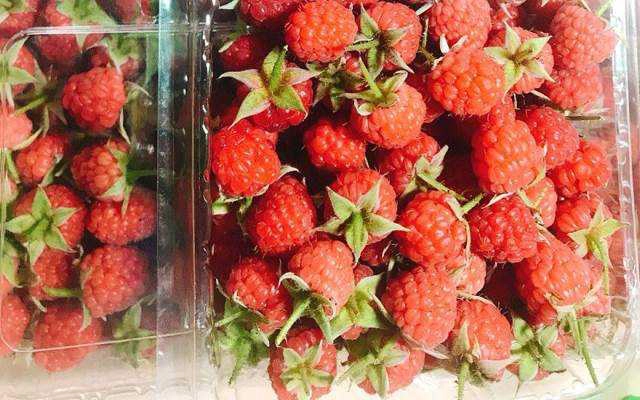 Berry Foods - Mâm Xôi & Phúc Bồn Tử - Shop Online