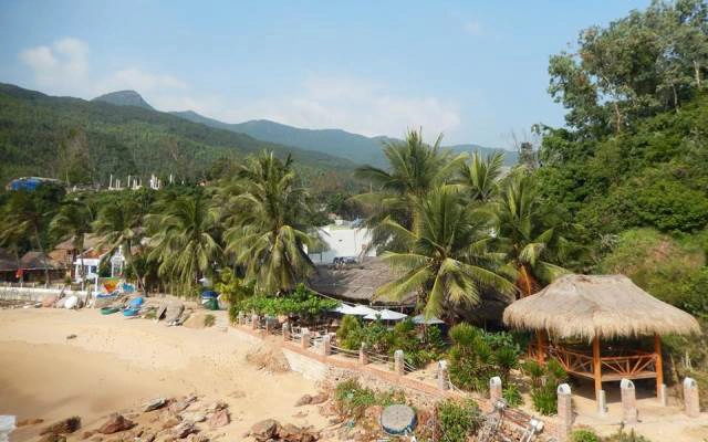 Big Tree Backpackers And Bistro