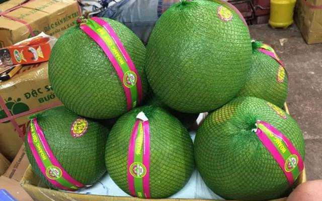 Bưởi Da Xanh - Shop Online