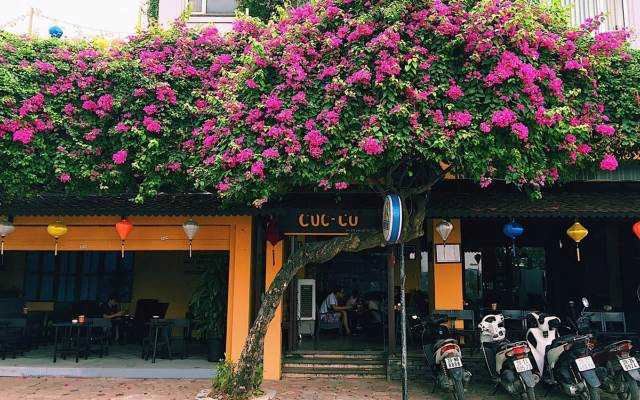 Cà Phê Cúc Cu - Hồ Văn Quán