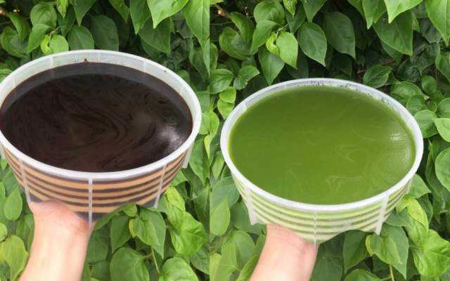 Cafe Đặng Diễm - Rau Câu Bánh Flan