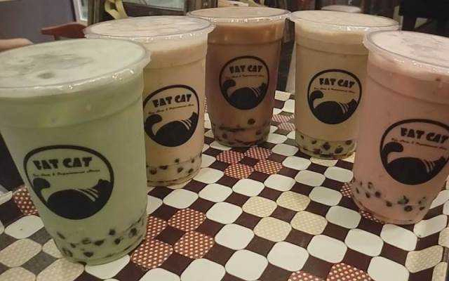 Cafe Fat Cat Tea