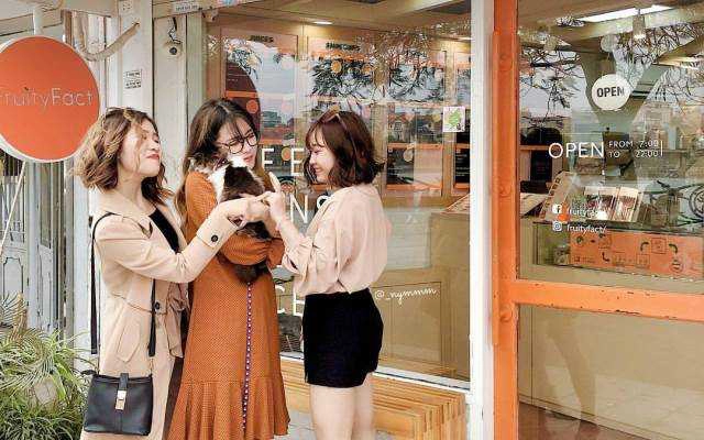 Cafe Fruity Fact Quảng An - Trà & Sinh Tố Hoa Quả