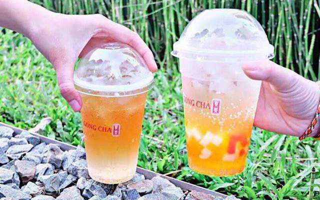 Cafe Gong Cha Tea Expert