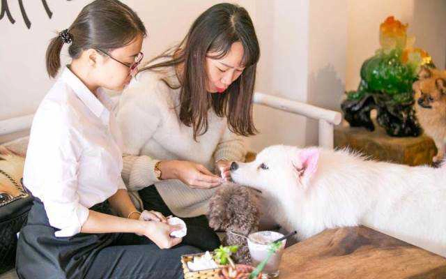 Cafe Luffy - Ngôi Nhà Cún Cưng