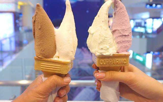 Cafe Meiwa Hokkaido Ice Cream - SC Vivo City