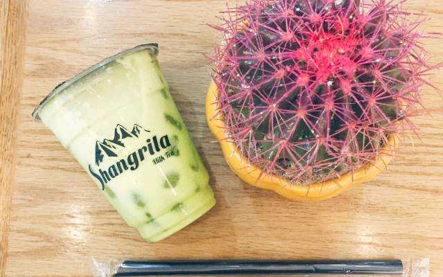 Cafe Shangrila Milk Tea