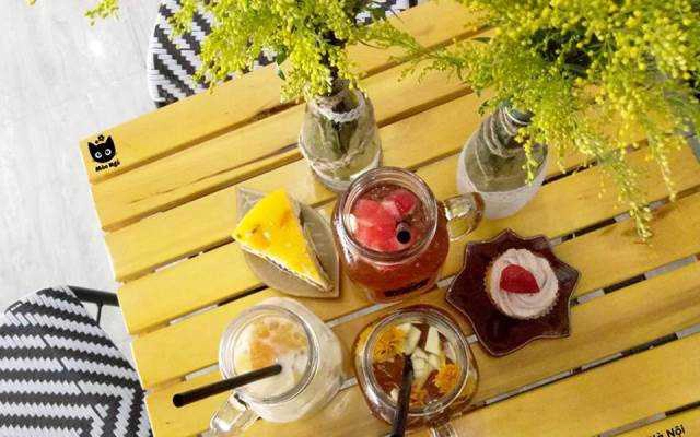 Cafe Tiệm Trà Mèo Ngố