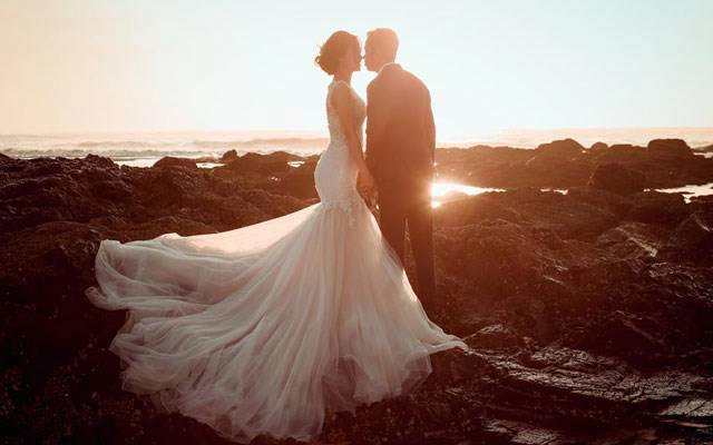 Camellia Wedding