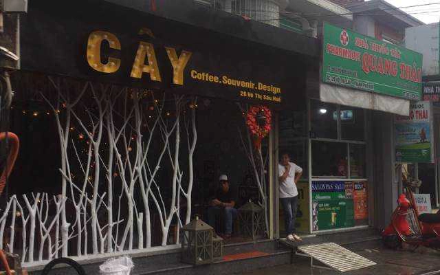 Cây Cafe