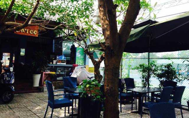 Cây Cọ Cafe
